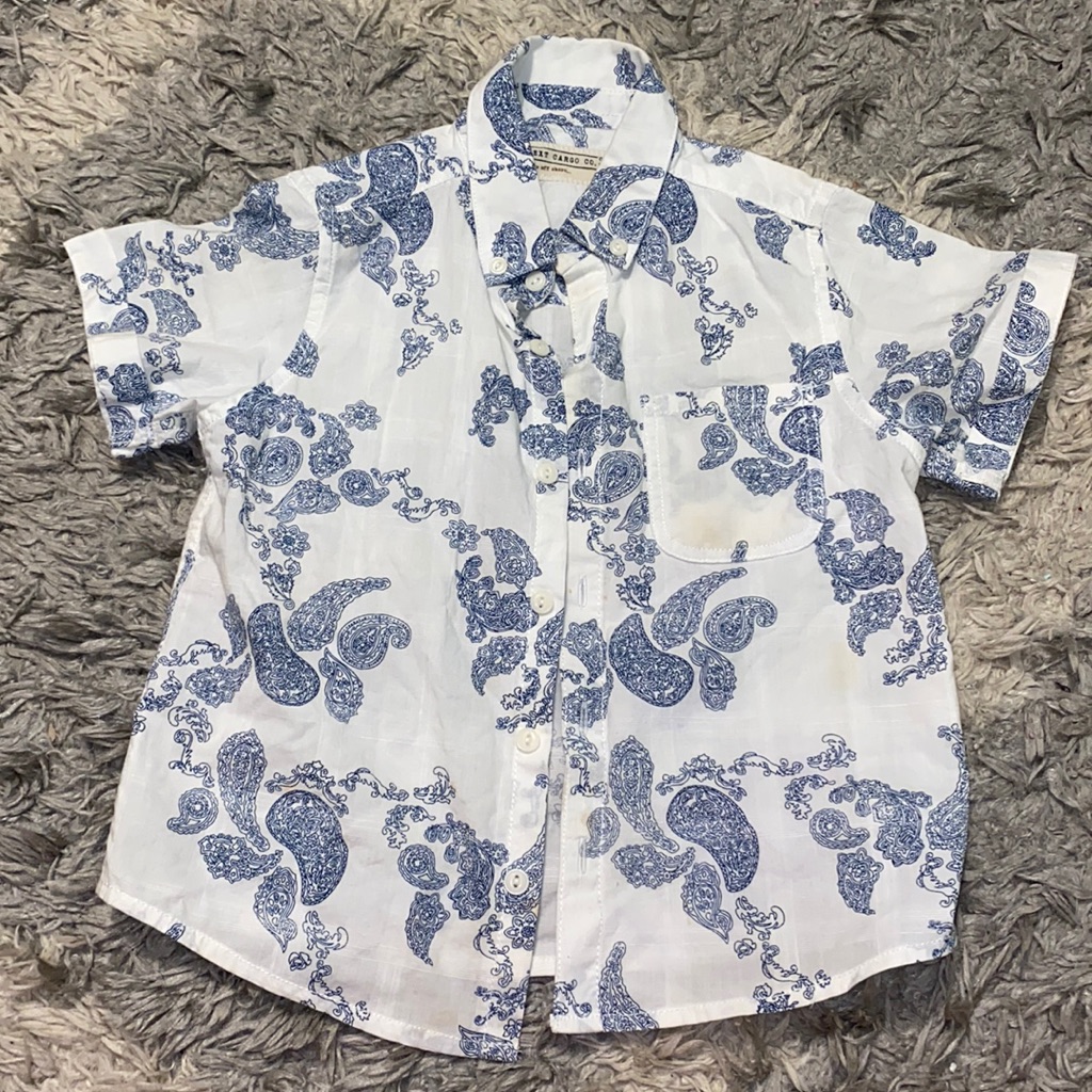 Toddlers Button Down